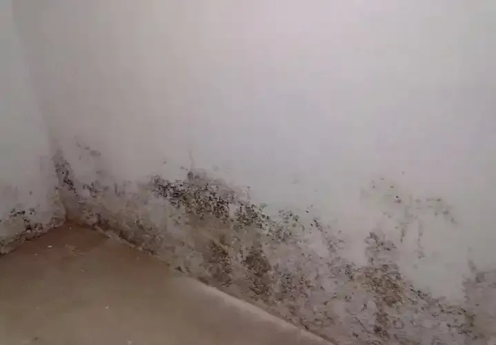 防水≠防滲！80%的人都弄錯(cuò)了！