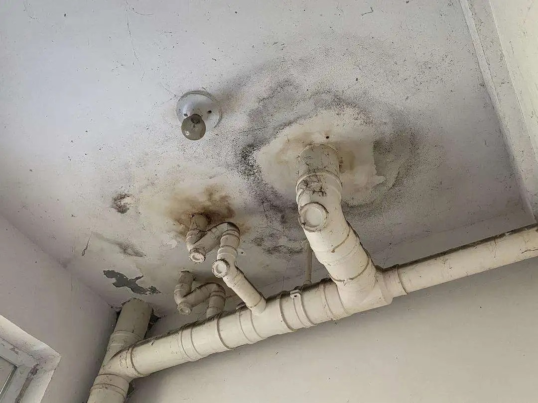 防水做了等于白做？青龍防水教你避開(kāi)施工8大坑，讓工程不再漏水！